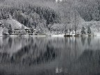 riflessi invernali