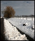 neve