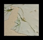 Natural cloth