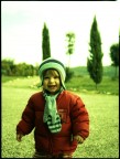 cross process