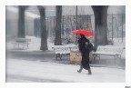 Un viale a Torino mentre nevicava
Nikon D80  Nikkor 18/70