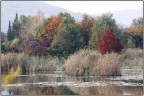 autunno