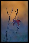 Quasi..... Inverno.....