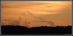stormo di storni al tramonto