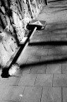 Irrispettosit