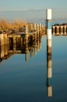 Riflessi