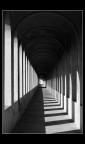 The Gallery