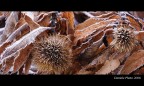 autunno inverno