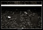 AttEse