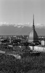 Nikon FG-20, Nikkor 105/2.5 AIS, Filtro Hoya Orange HMC, Tripod Bogen/Manfrotto. 1/60@f22. Pellicola Kodak T400CN.