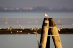 La laguna al tramonto in dicembre