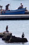 nati x la pesca
