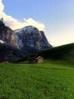 persi nel verde