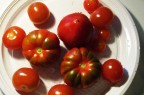 pomodori...