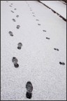 giusto per parafrasare il titolo di un libro di thomas mann, le orme di un cane e del suo padrone restano sulla neve intonsa di una strada chiusa al traffico