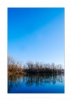la seconda foto della serie
nulla da dire
mi piace di i la prima
ma anche questa non mi dispiace