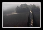 il vialetto