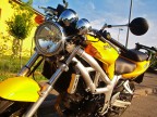 yellow love...