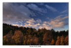 alba