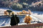 Paesaggio nella brina
