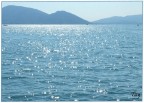 Lago