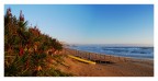 solitary beach