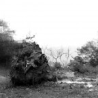 visione impura