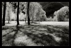 oasi bosco tenso 3