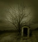 la casa di elfi