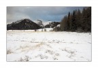 Silenzio Bianco Silenzio Bianco