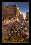 ...e le bici di Amsterdam