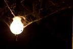 vecchia lampadina