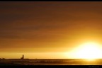 Faro