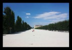 Vienna