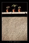 i tre amigos
