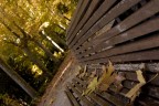 Autunno a MAdrid
