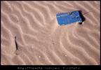 Aspettiamola Insieme L'estate