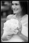 rose bianche