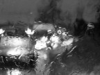PIOVE