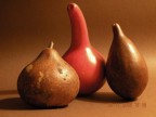 tropical fruits