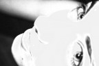 in the eyes