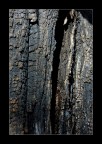 Stone or wood?