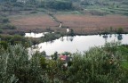lago 2