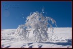 foto fatta  oggi in alta quota  1500mt slm  
giornata bella no nebbia e foschia 
grazie per la visita
