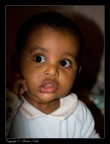 Fasil 2