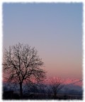 mattino