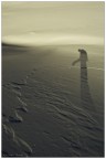 ...on the moon...