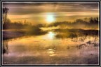 Il Piave di mattino