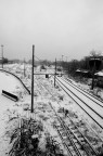 Foto scattata durante la nevicata di qualche tempo fa.

Ogni commento  gradito.