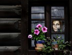 through the window
